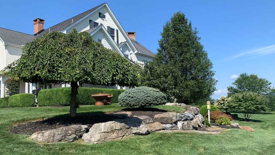 Rock garden designed by M&Z