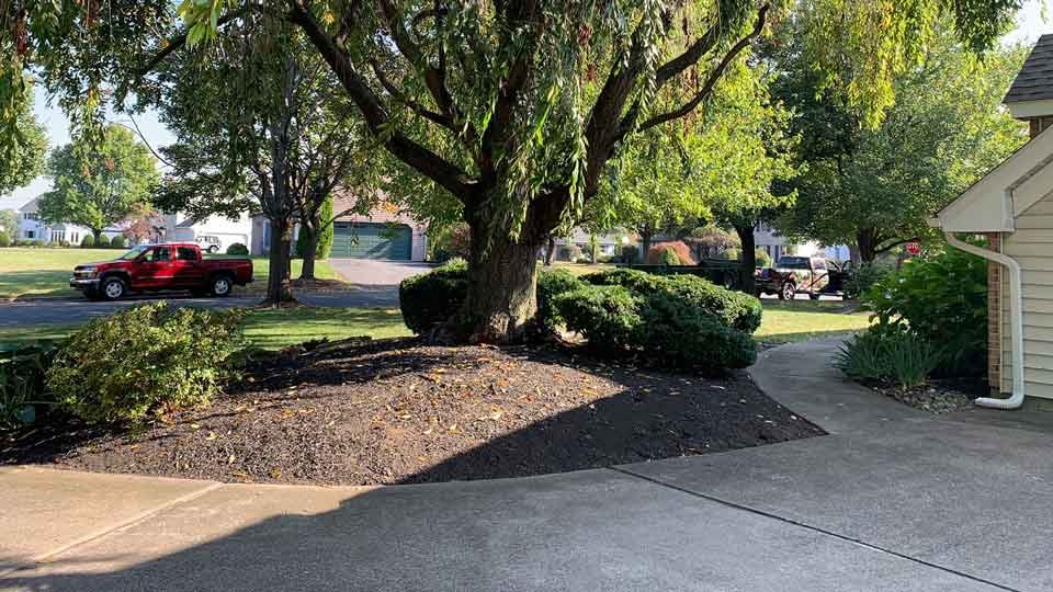 Fresh mulch beds
