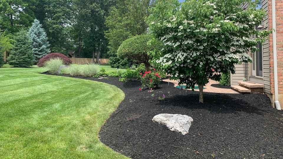 Mulching