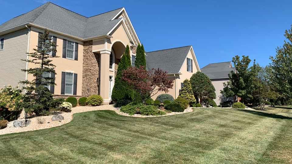 Finished front yard