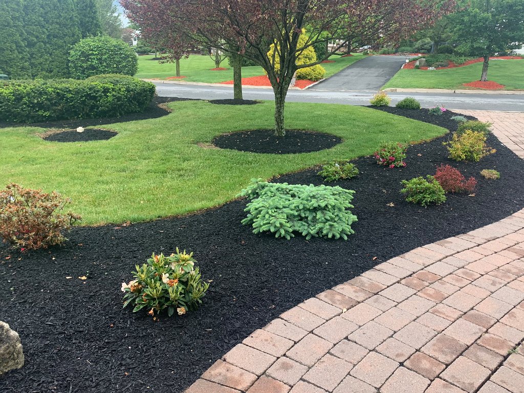 Paver walkway and beds