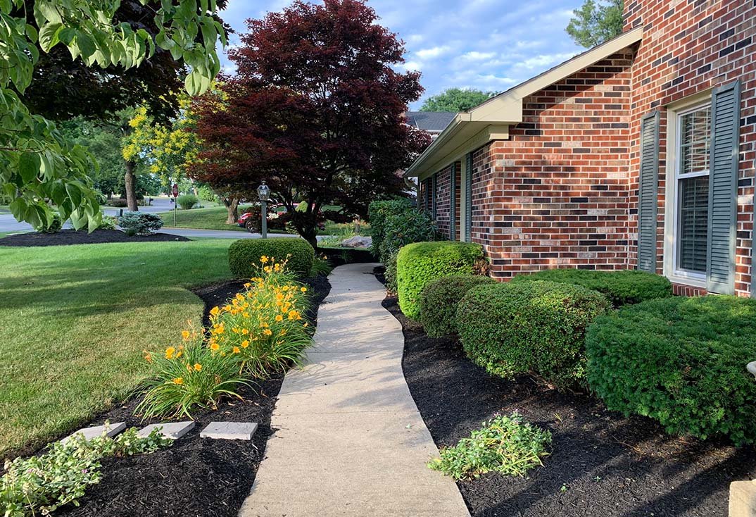 Planted walkway