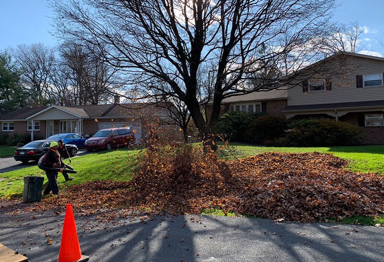 Fall clean-up