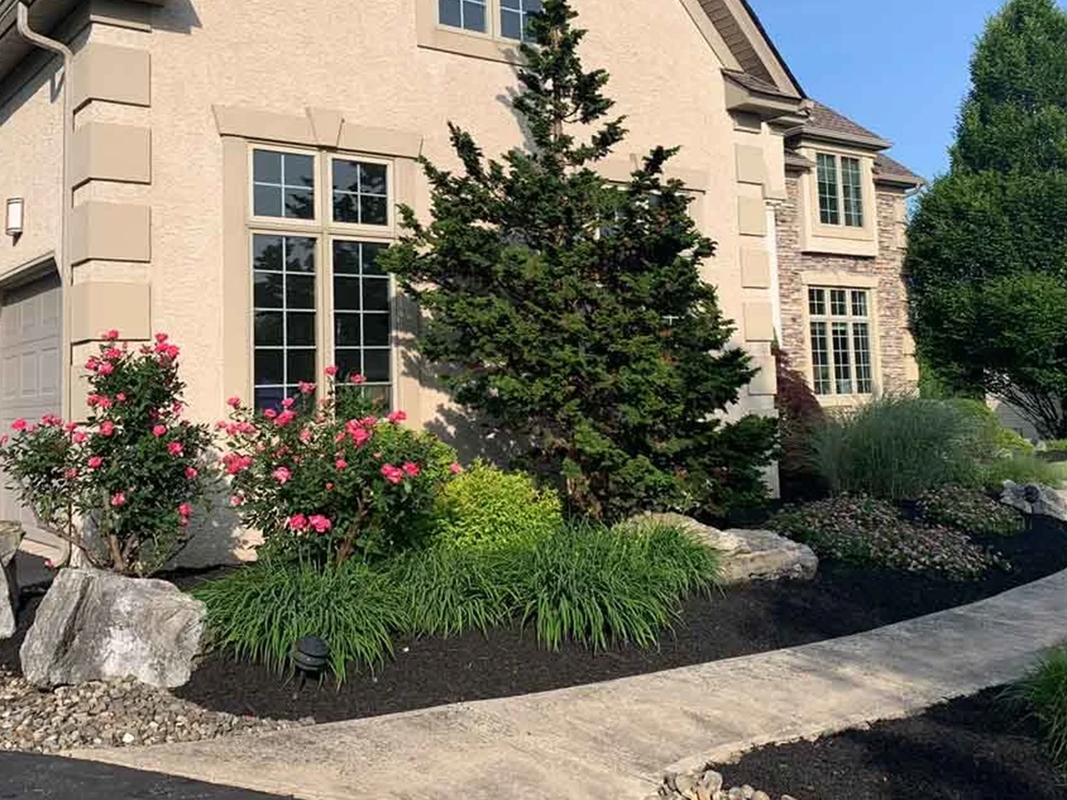 Garden project