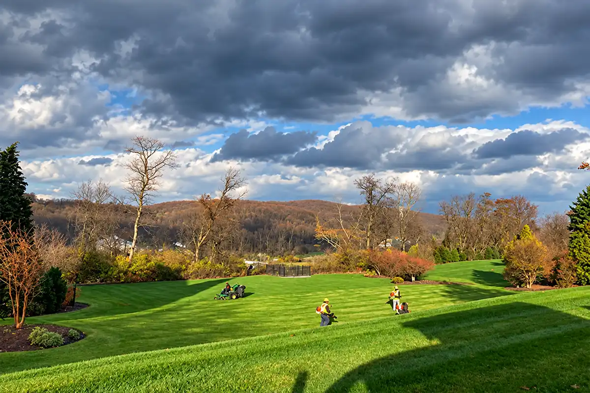 Lawn care